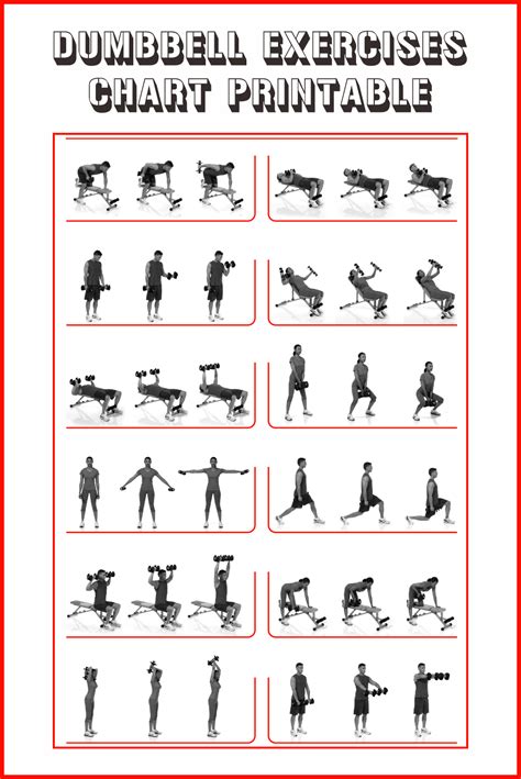 Printable Dumbbell Exercises With Pictures